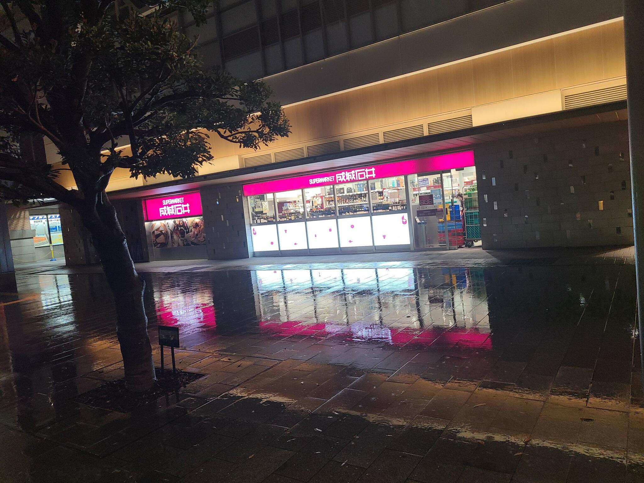 成城石井 アスティ岐阜店の代表写真4