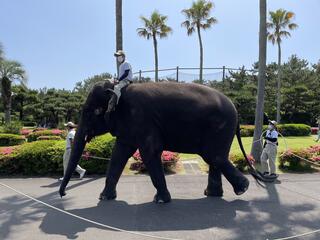 宮崎市フェニックス 自然動物園のクチコミ写真1