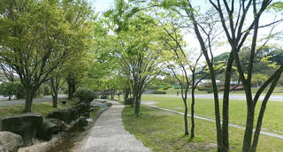 国営木曽三川公園フラワーパーク江南のクチコミ写真1