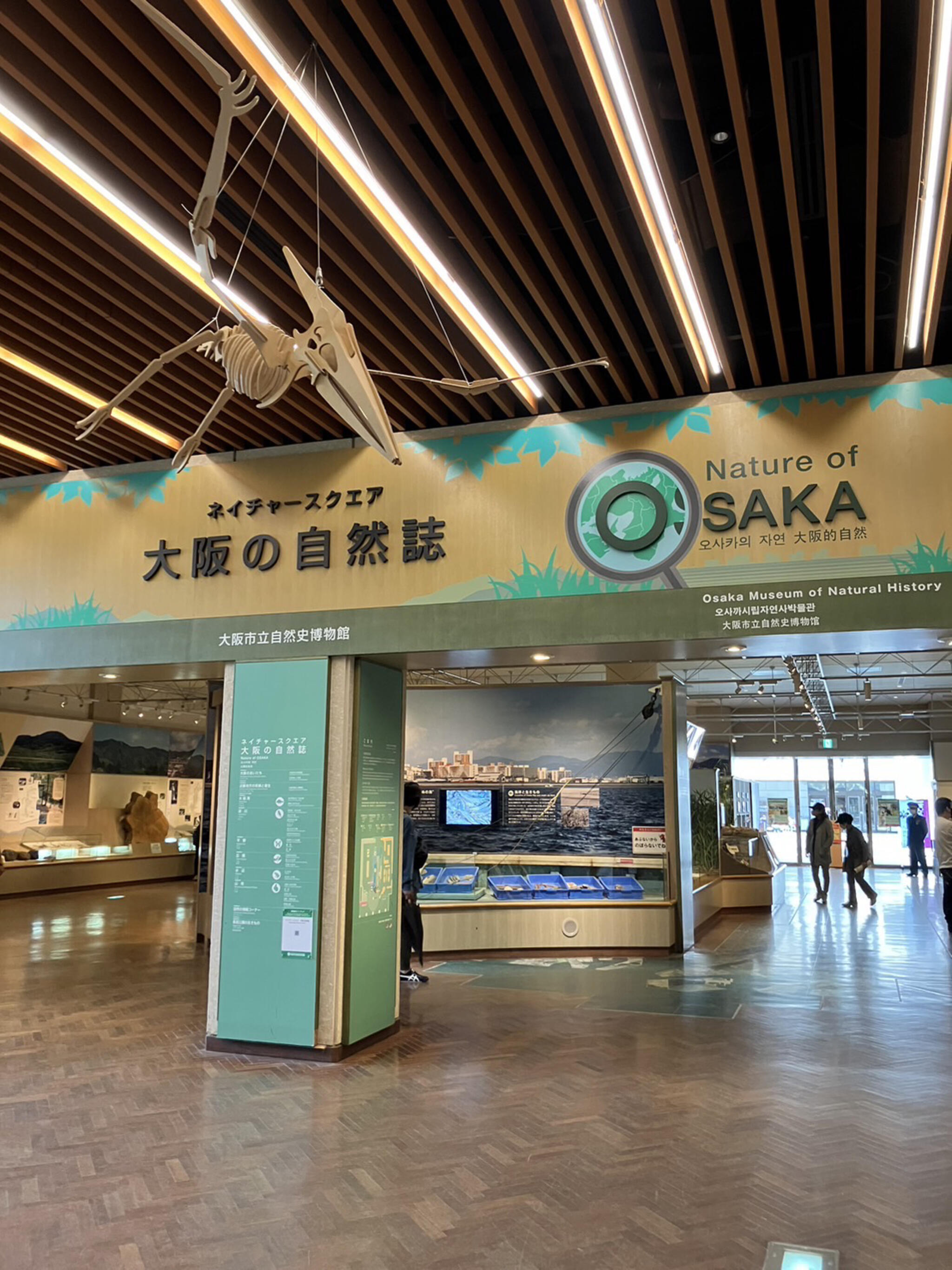 大阪市立自然史博物館の代表写真4
