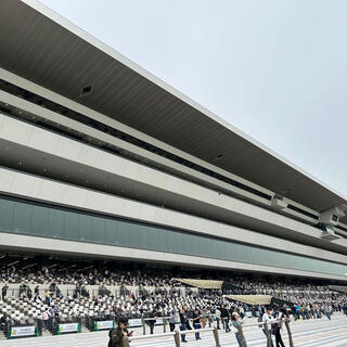 JRA 京都競馬場の写真8