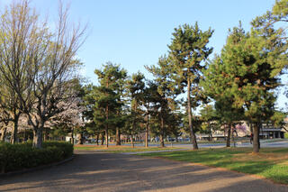 岡崎公園のクチコミ写真1