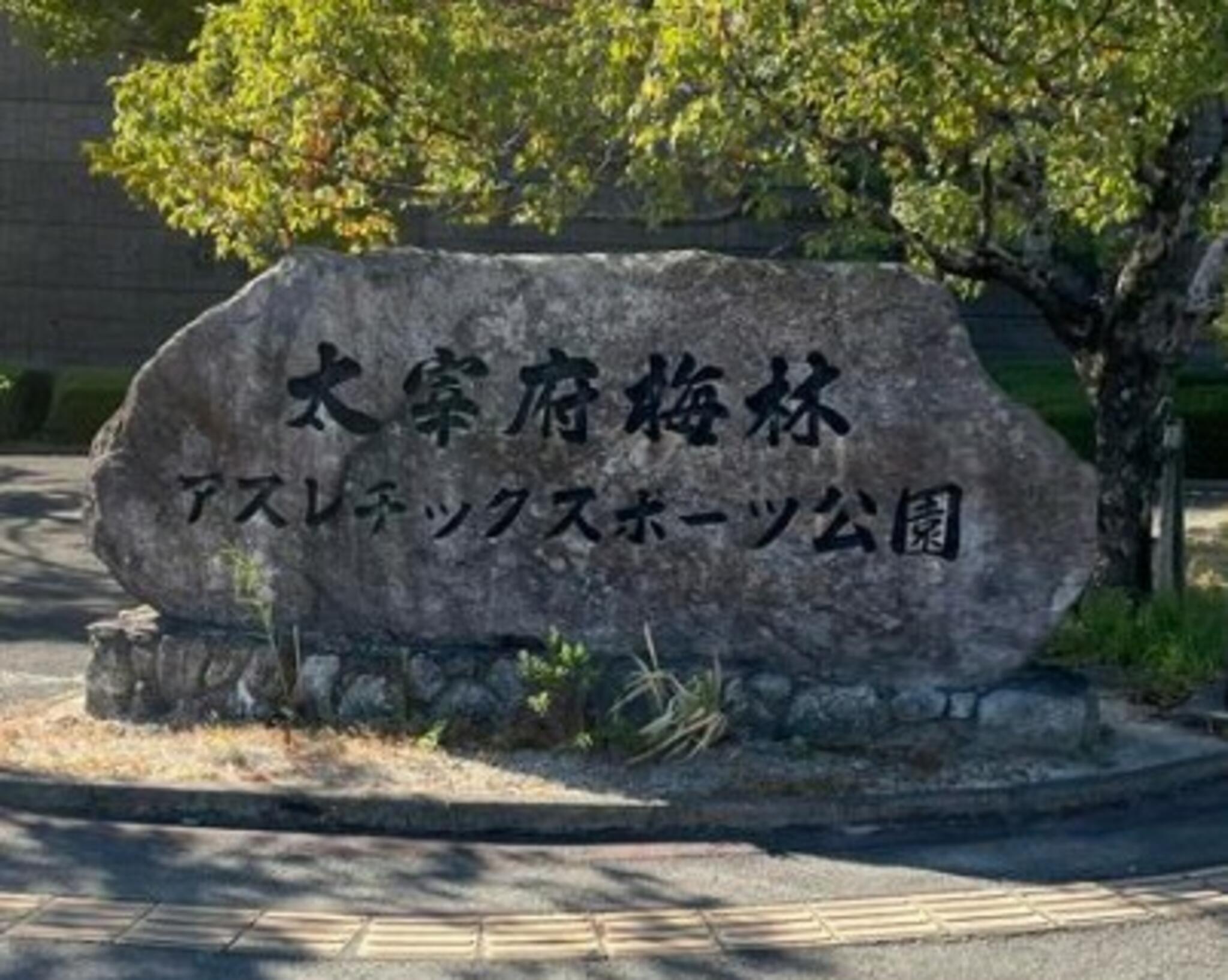 太宰府歴史スポーツ公園の代表写真5