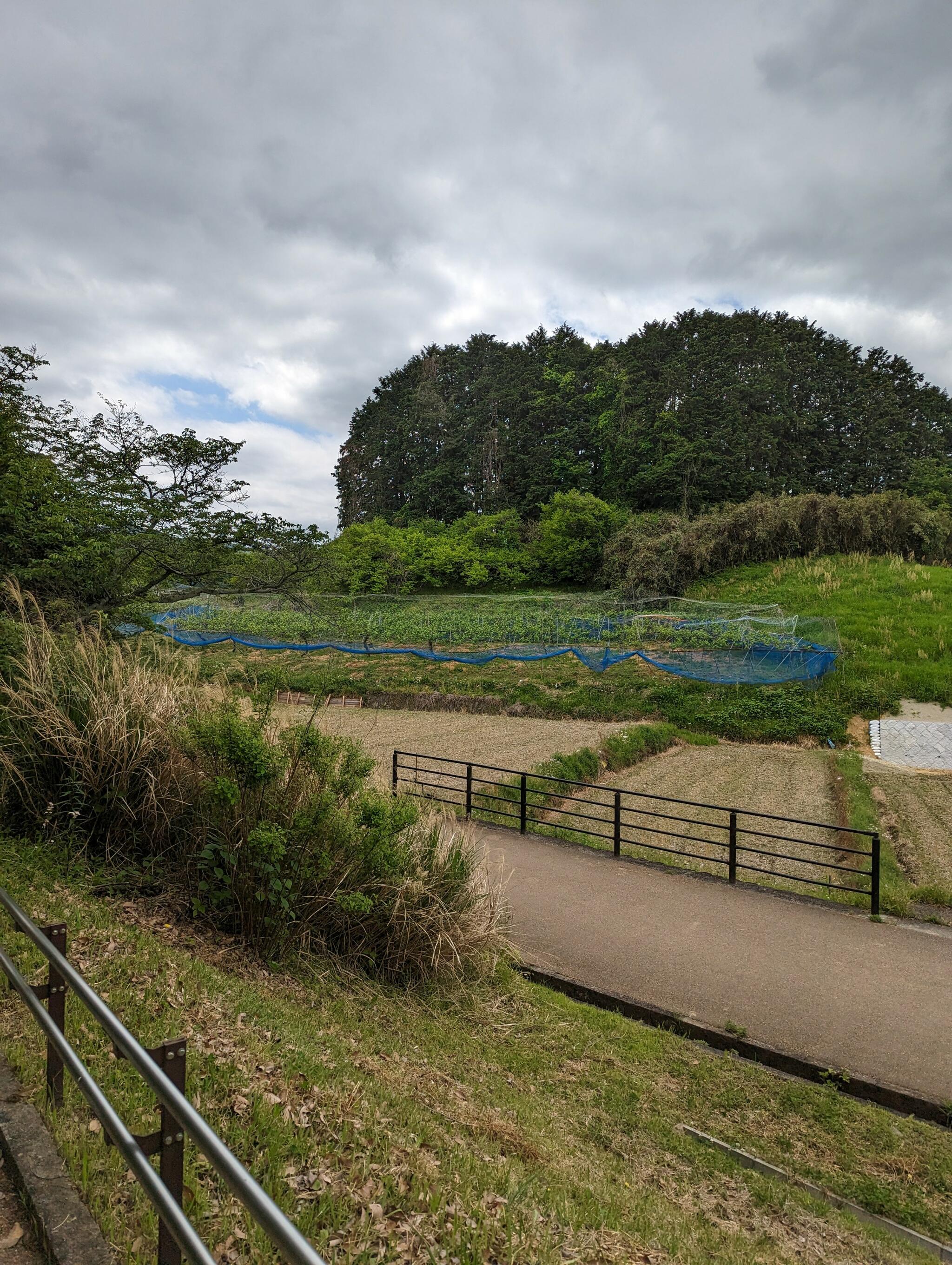 高松塚古墳の代表写真9