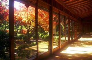 福岡県立大濠公園日本庭園のクチコミ写真1