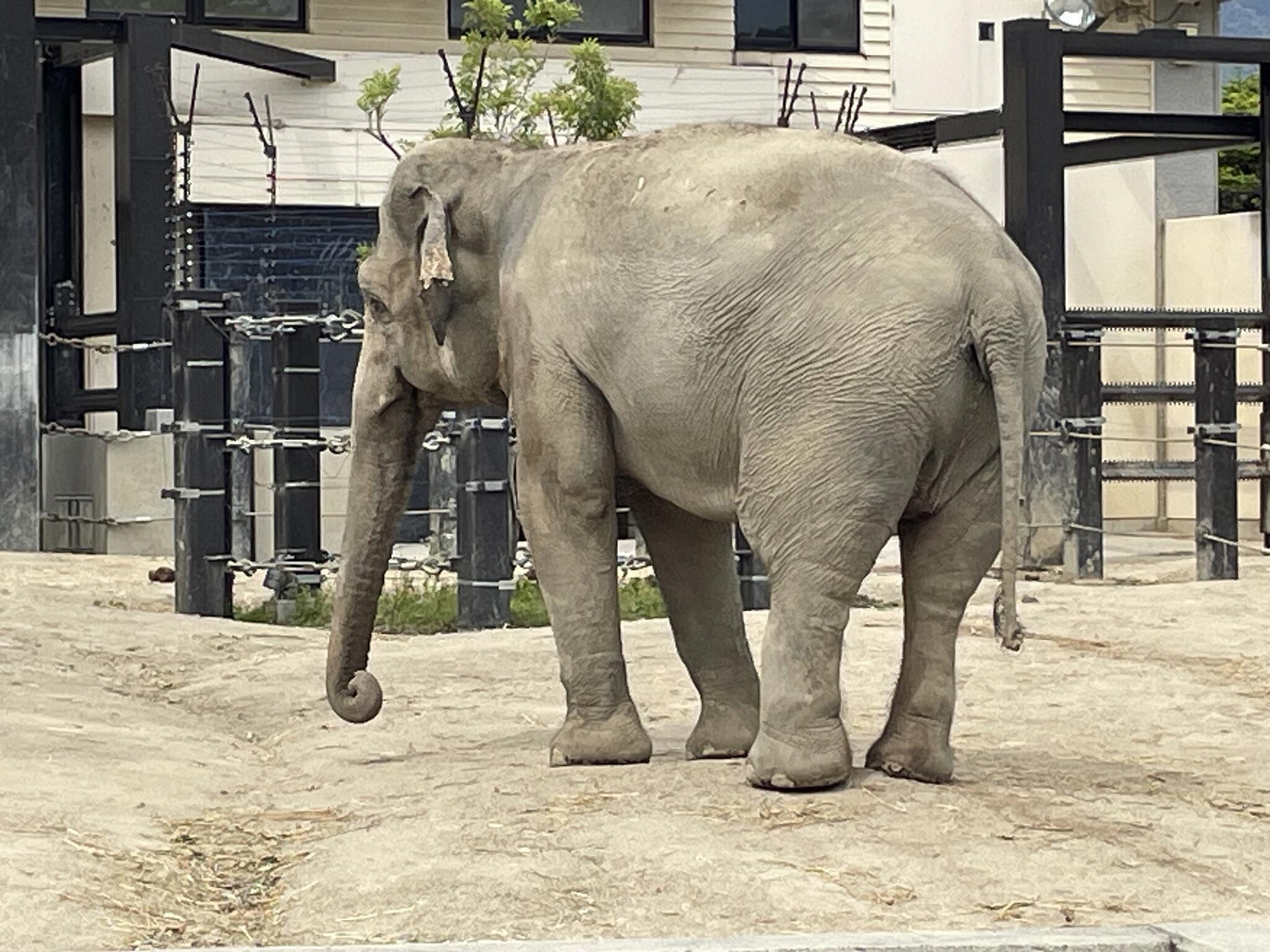 京都市動物園の代表写真9
