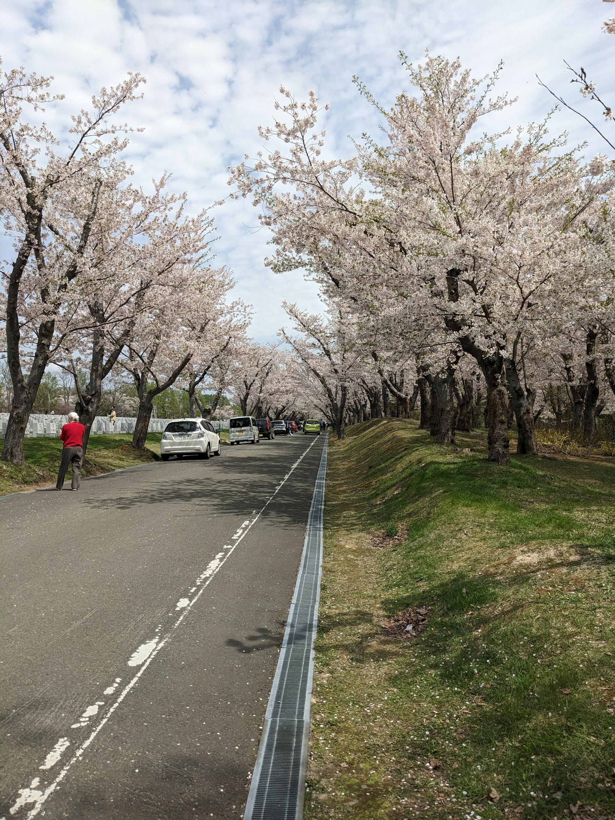 戸田記念墓地公園の代表写真4