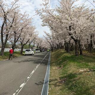戸田記念墓地公園の写真4