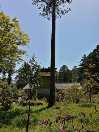 帰全山公園のクチコミ写真2