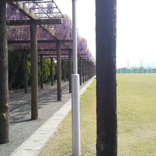 赤坂スポーツ公園の写真4