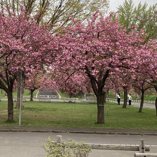 農試公園の写真19