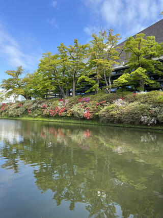 千秋公園のクチコミ写真1