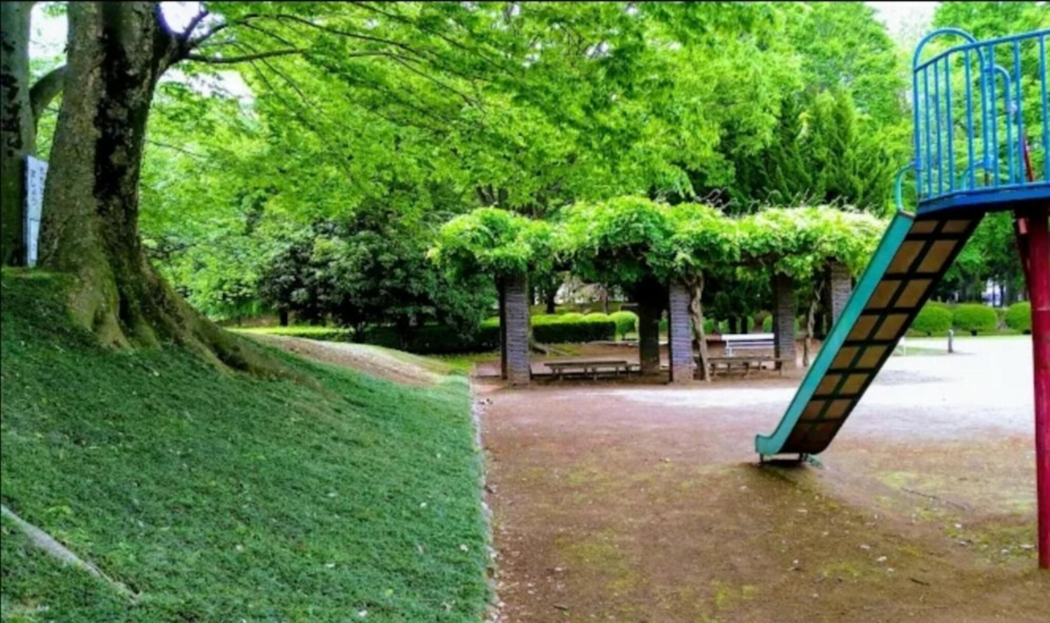 あけぼの公園の代表写真5