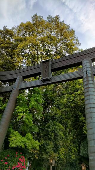 高千穂神社のクチコミ写真1