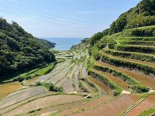 浜野浦の棚田展望台のクチコミ写真1