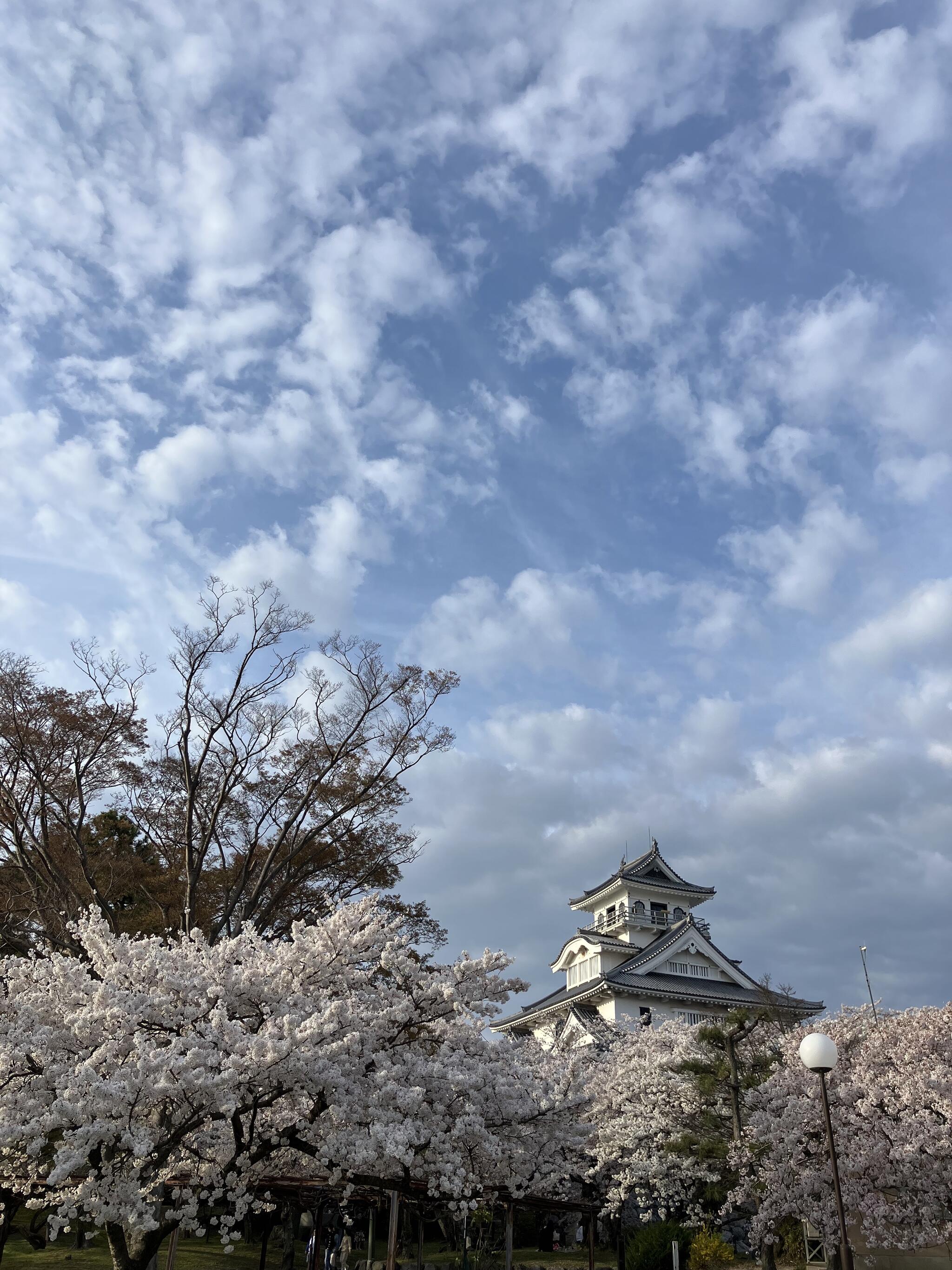 豊公園(長浜城)の代表写真6