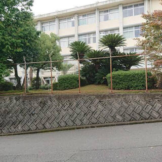 大阪府立長野高等学校の写真5