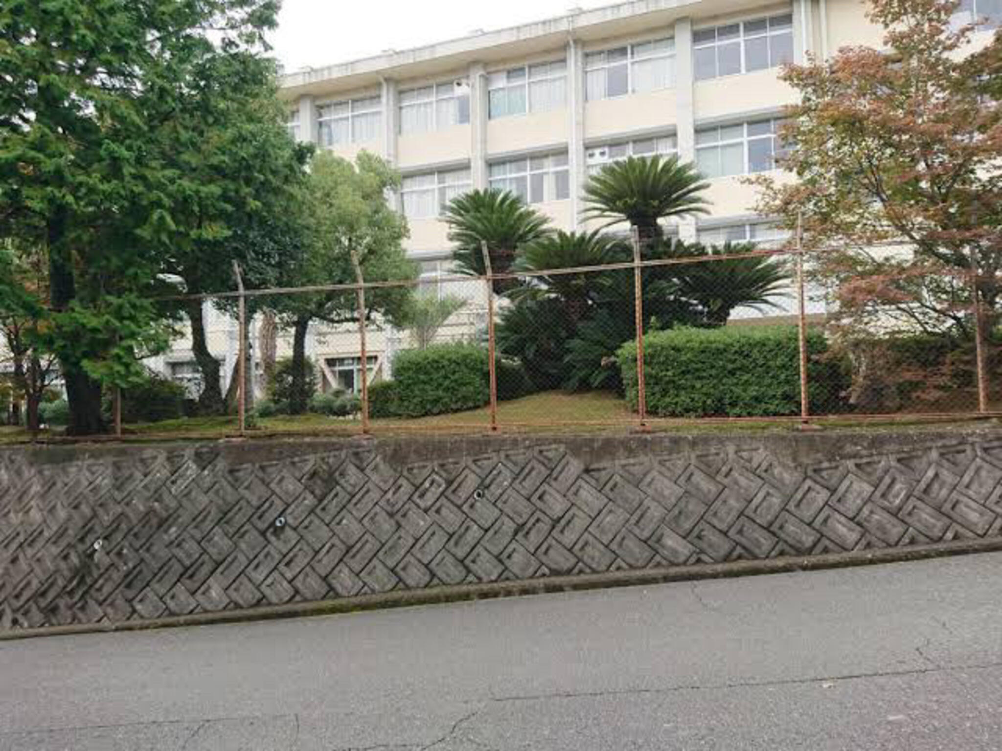 大阪府立長野高等学校の代表写真5