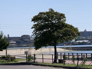 亀崎海浜緑地のクチコミ写真1