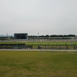 JRA 京都競馬場の写真24