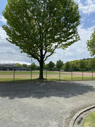 熊本県民総合運動公園補助競技場のクチコミ写真1