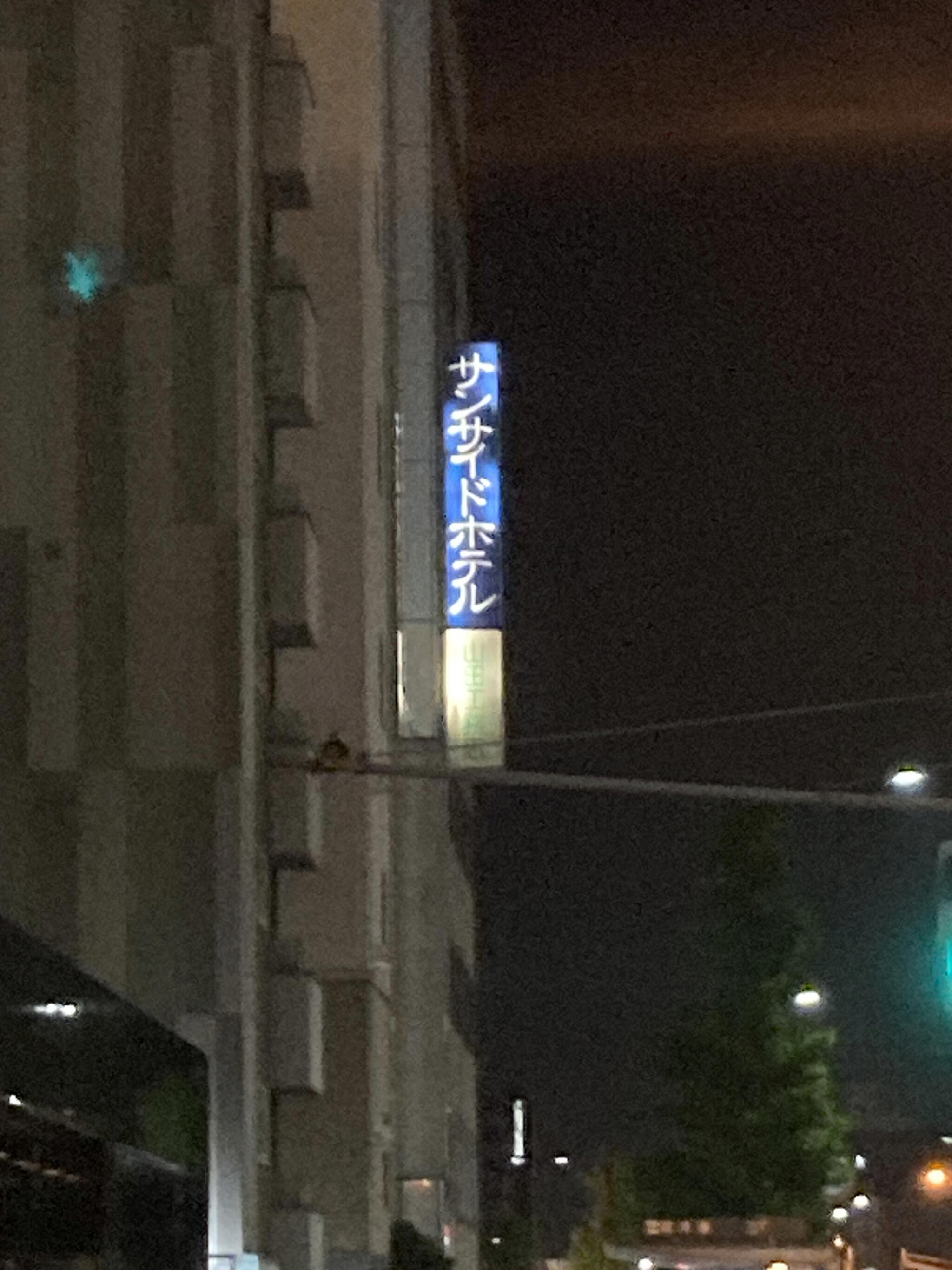 サンサイドホテル神戸三宮の代表写真8