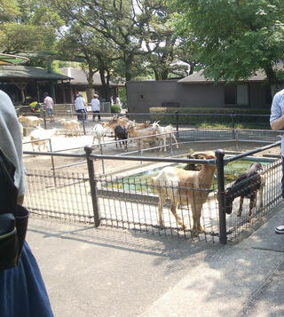 宮崎市フェニックス 自然動物園のクチコミ写真1