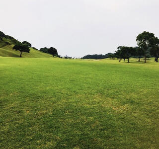 青島ゴルフ倶楽部のクチコミ写真1