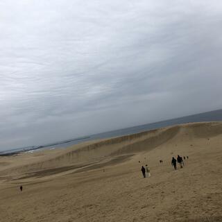 チュウブ鳥取砂丘こどもの国の写真3