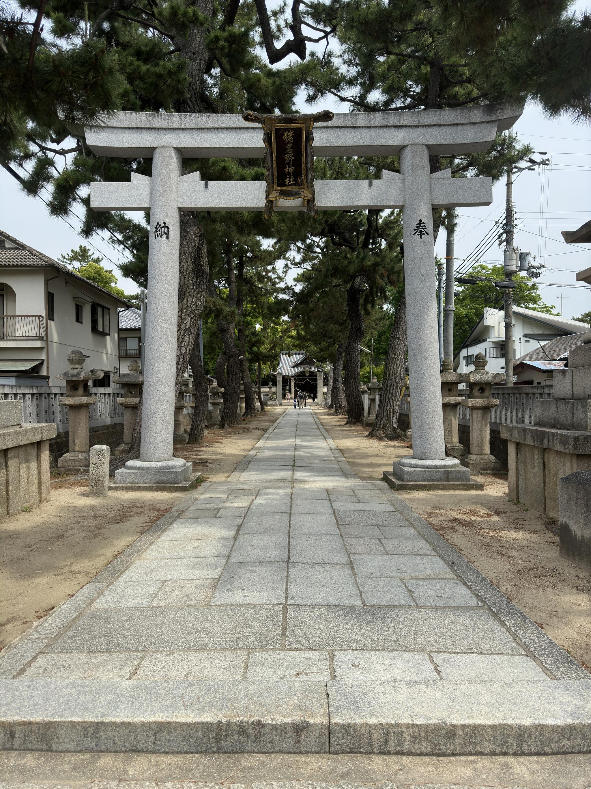猪名野神社の代表写真7