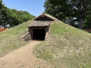 下野谷遺跡公園のクチコミ写真2