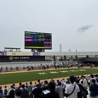 JRA 京都競馬場の写真23