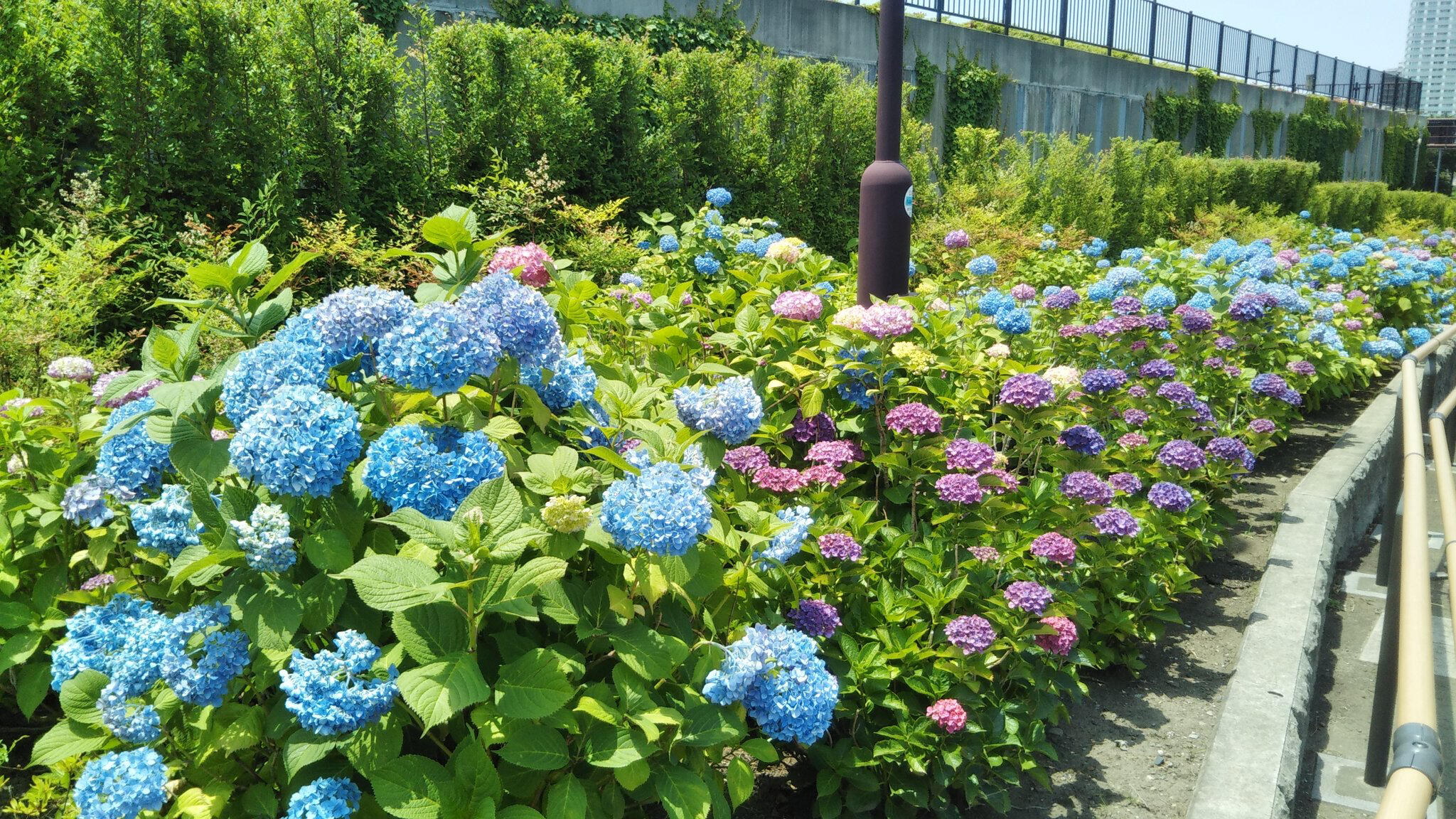 玉川公園(大阪市福島区)の代表写真2