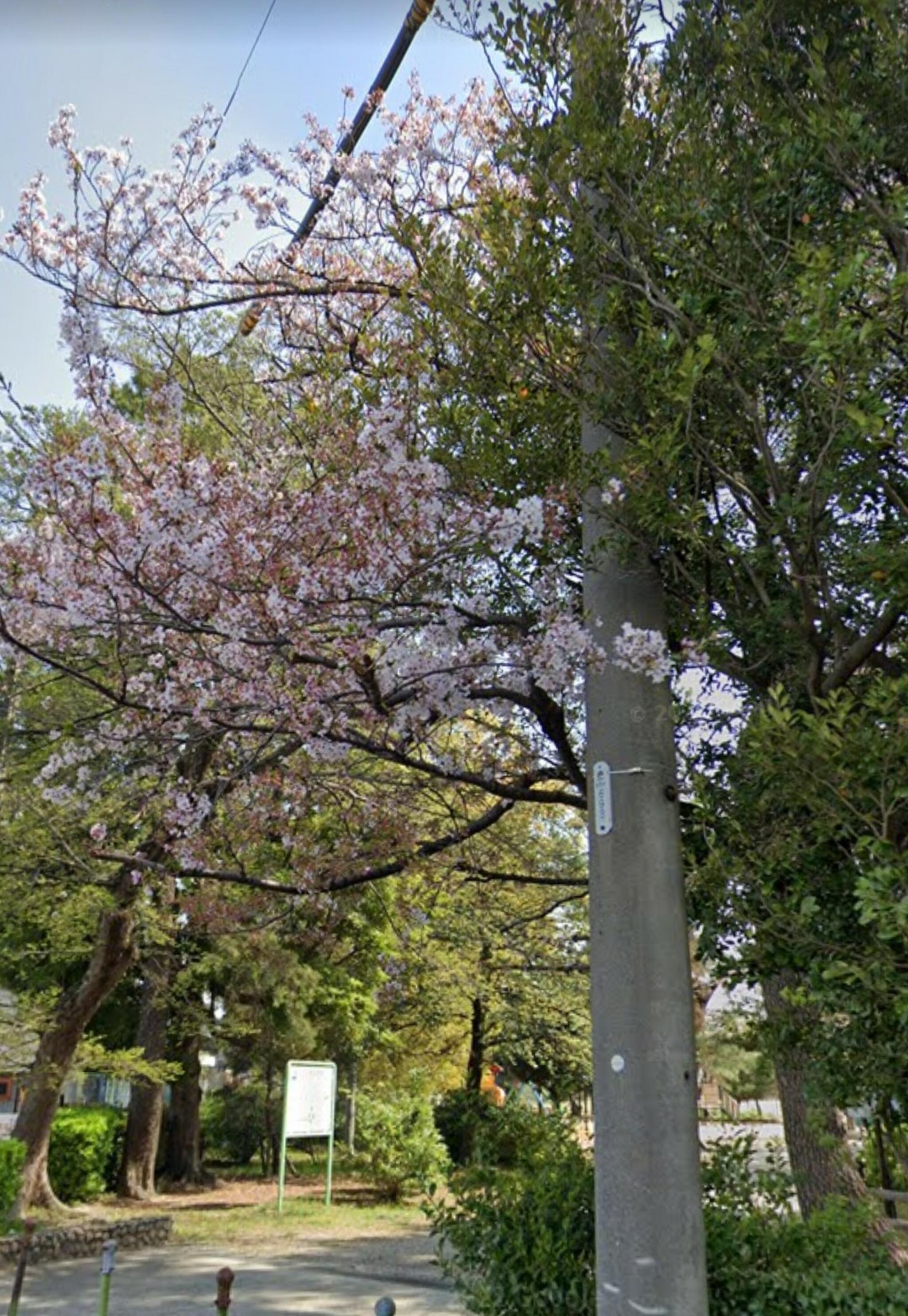 松葉公園の代表写真10