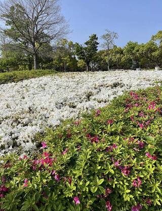 浜名湖ガーデンパークのクチコミ写真2