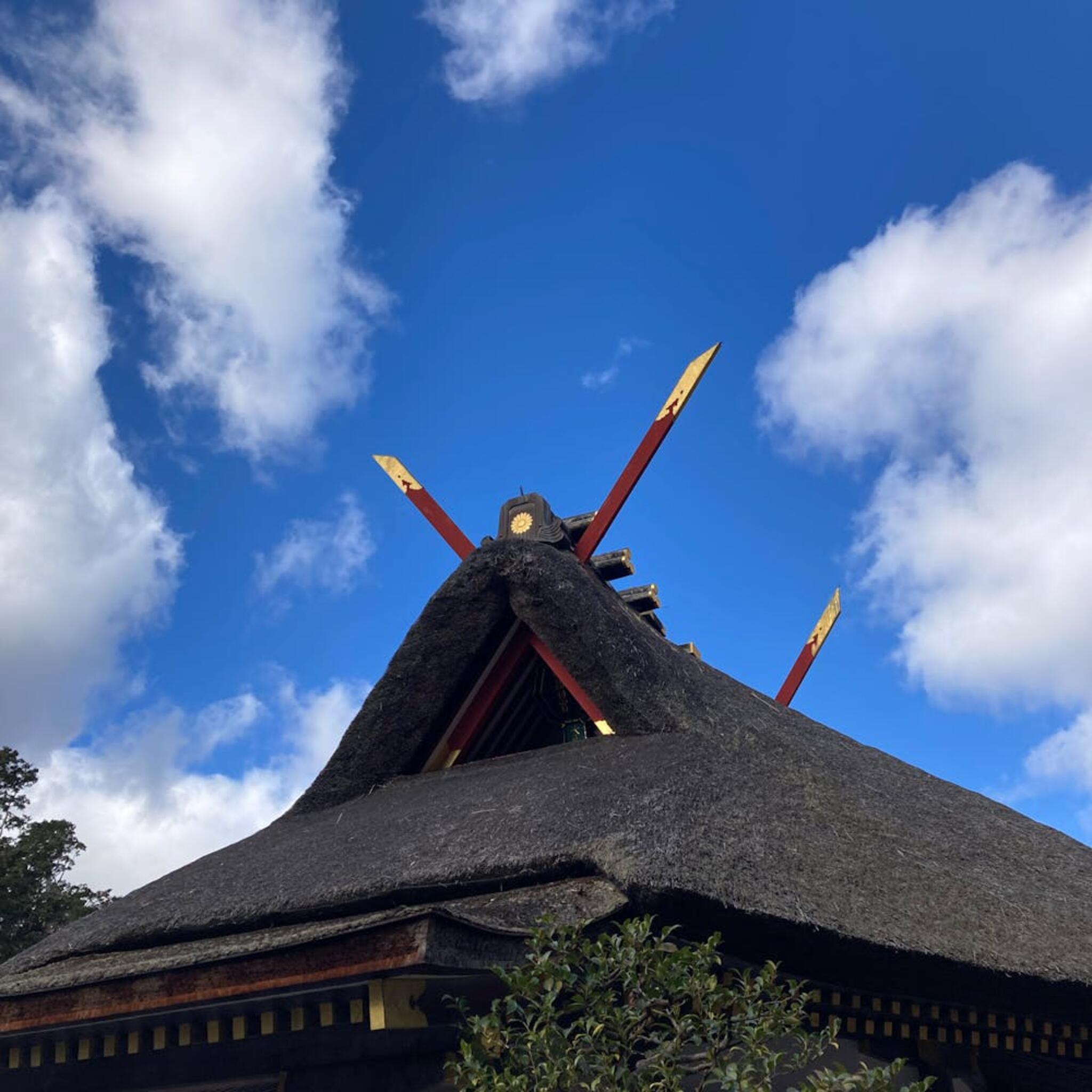 吉田神社の代表写真4