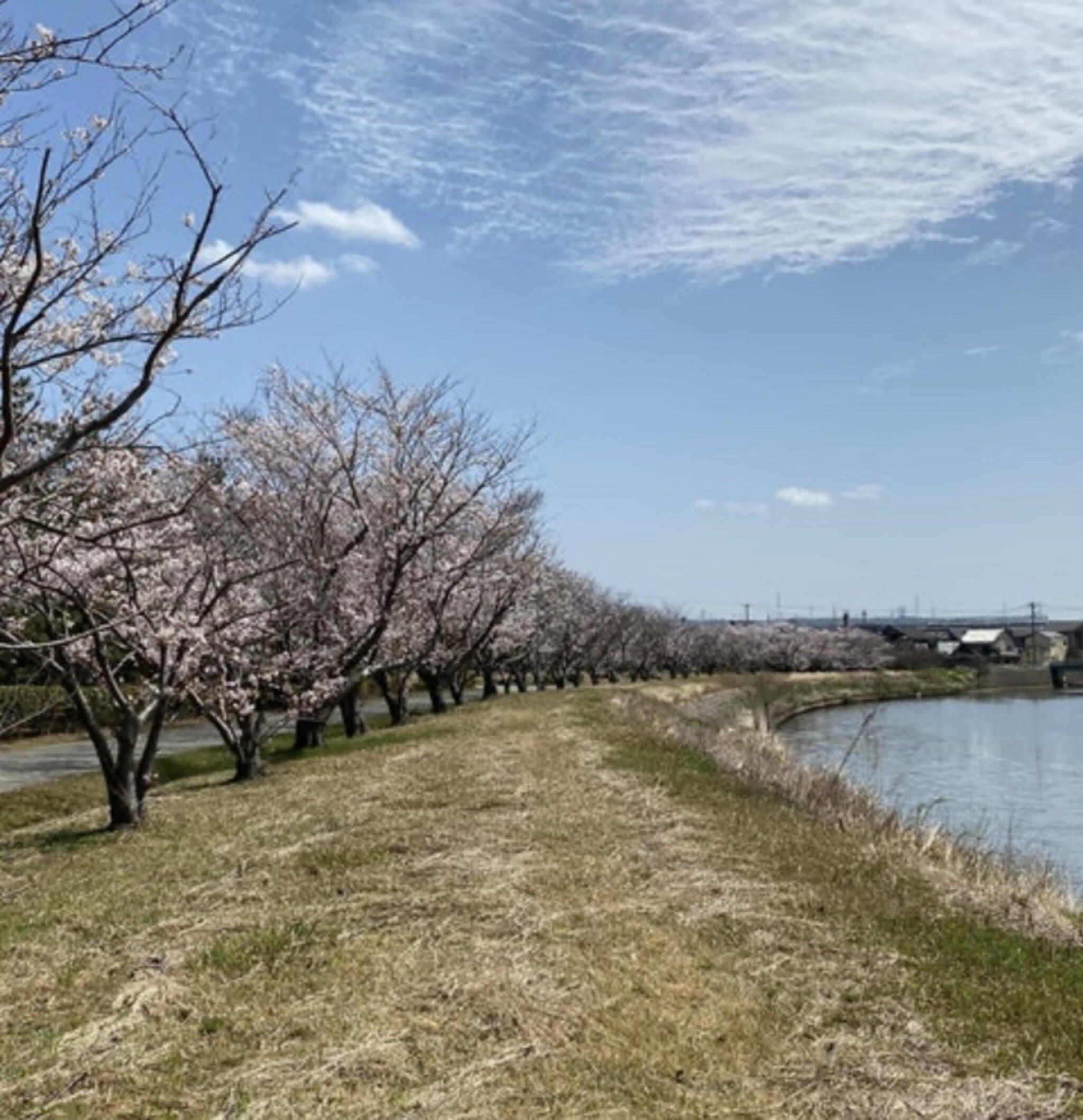 柴木総合公園 - 羽咋郡志賀町高浜町公園 | Yahoo!マップ