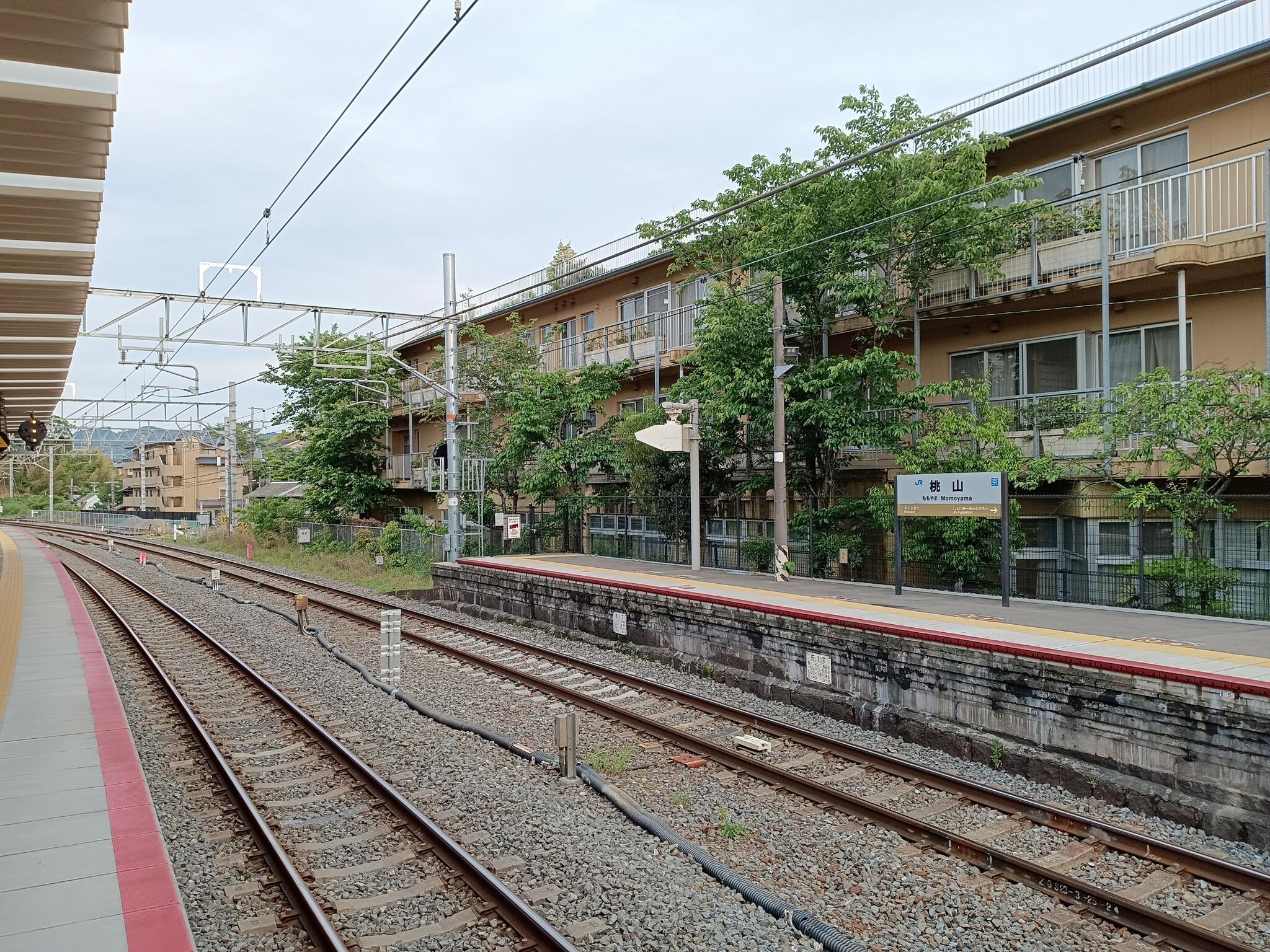 桃山駅の代表写真2