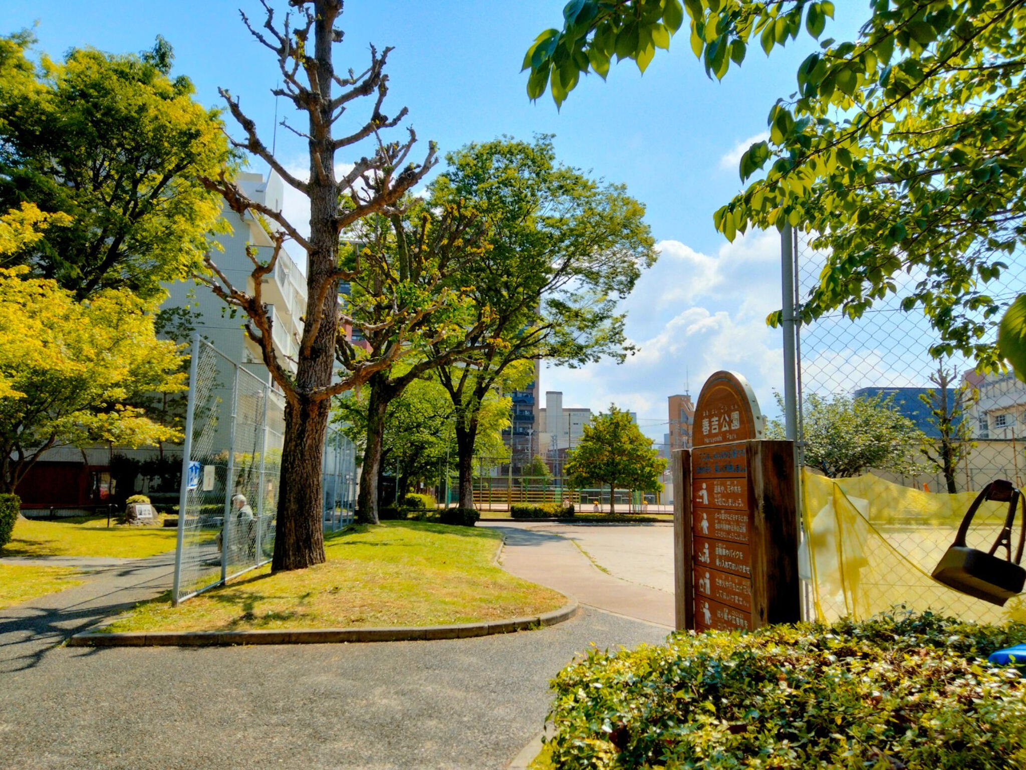 春吉公園の代表写真5