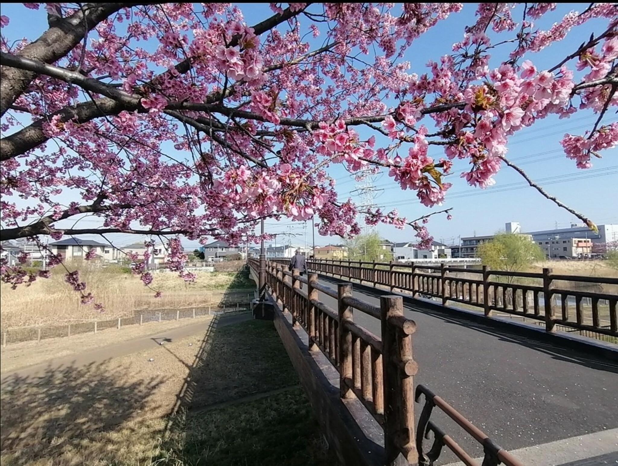 新郷東部公園の代表写真7