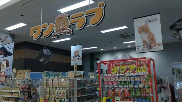 ペット プラス 福井 店 福井 県 ストア 福井 市