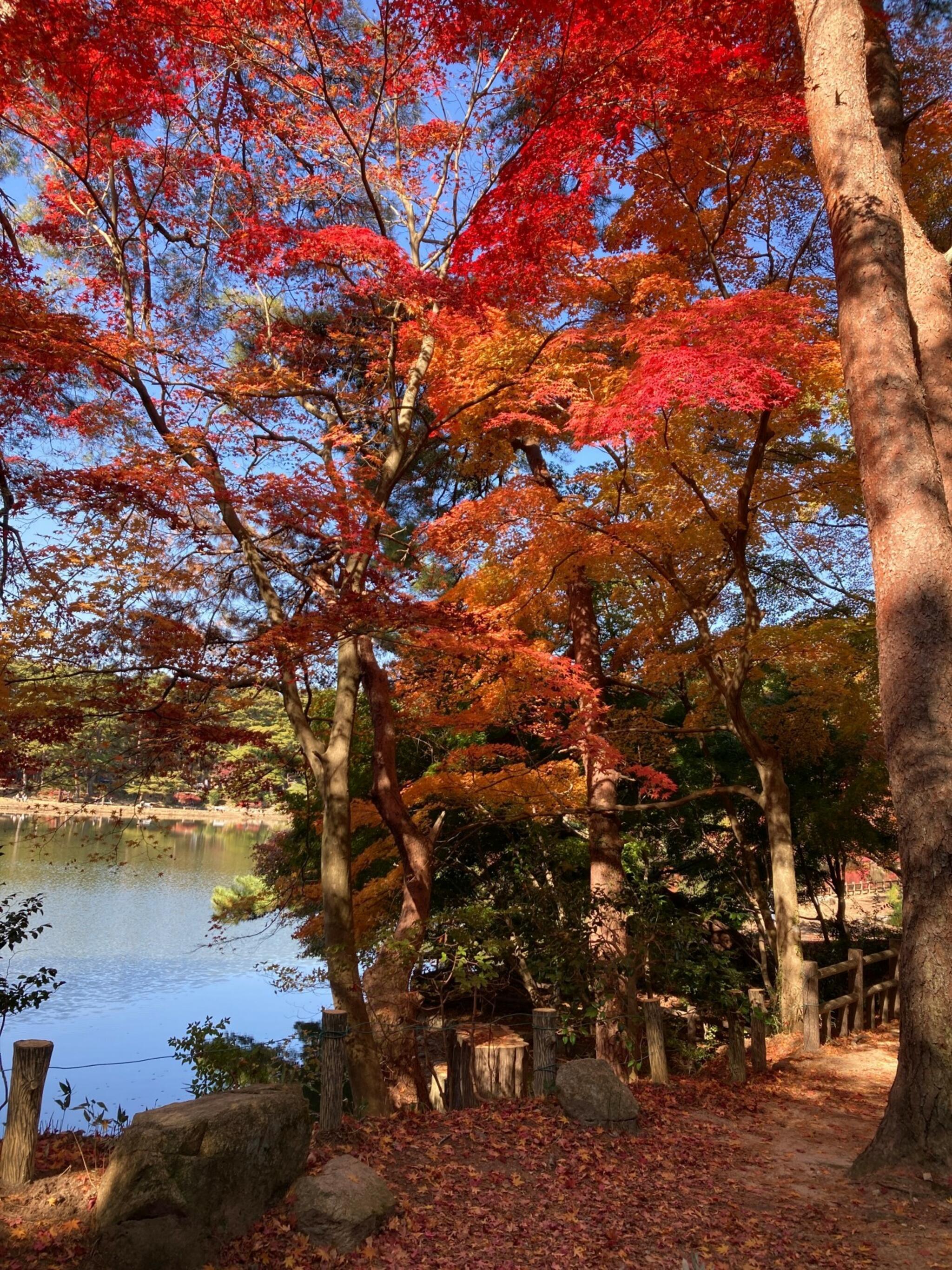 再度公園の代表写真6