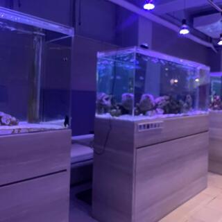 aquarium dining サカナノセカイの写真26