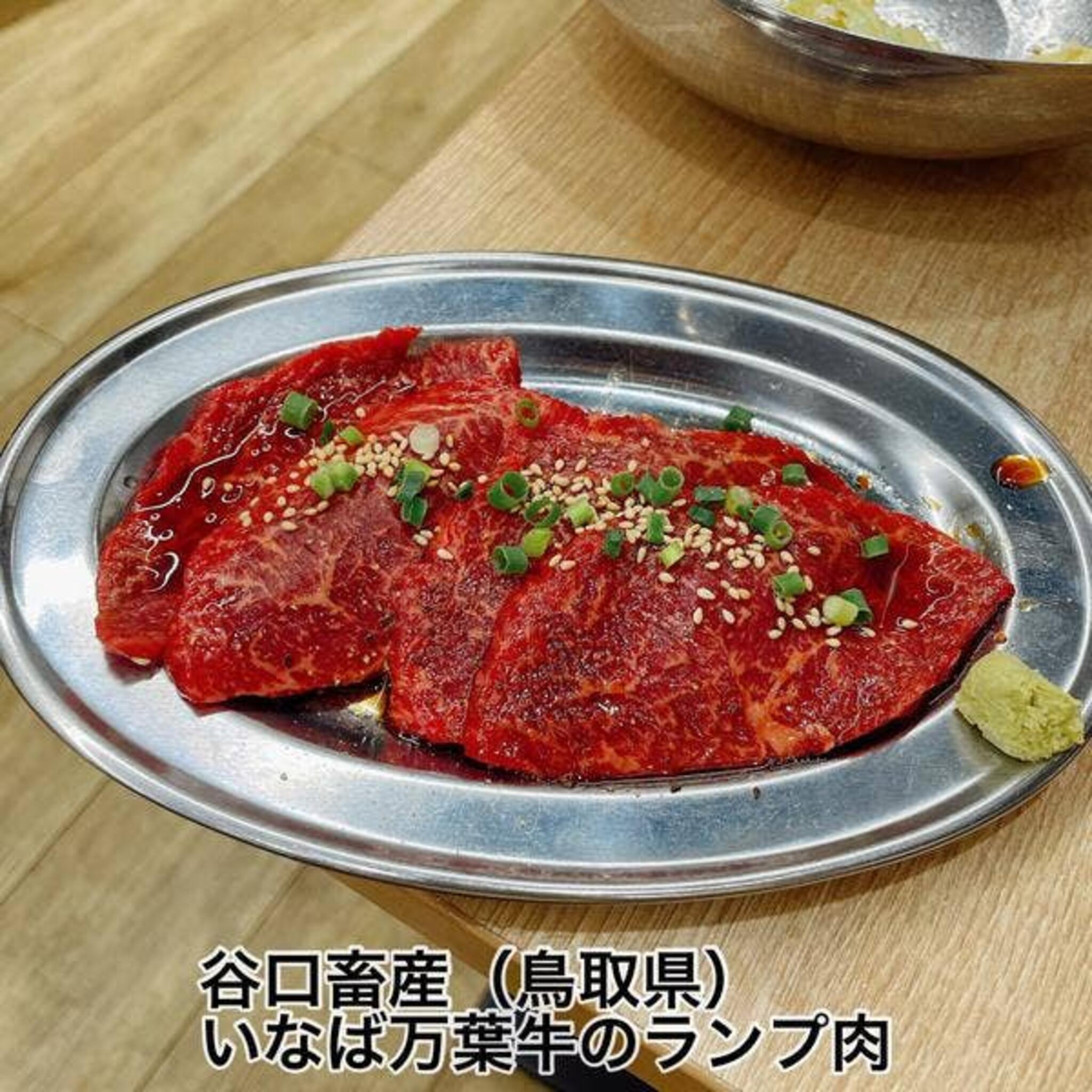 炭火焼肉生ホルモン処 しょうちゃん 駅前店の代表写真9