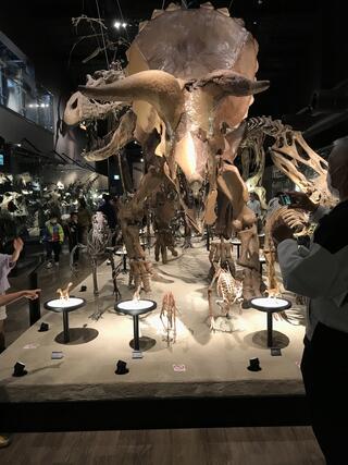 御船町恐竜博物館のクチコミ写真3