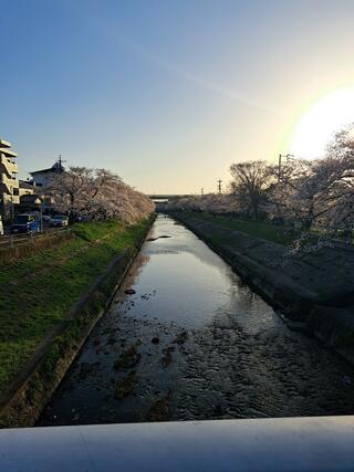 地蔵 川 販売 水位 カメラ