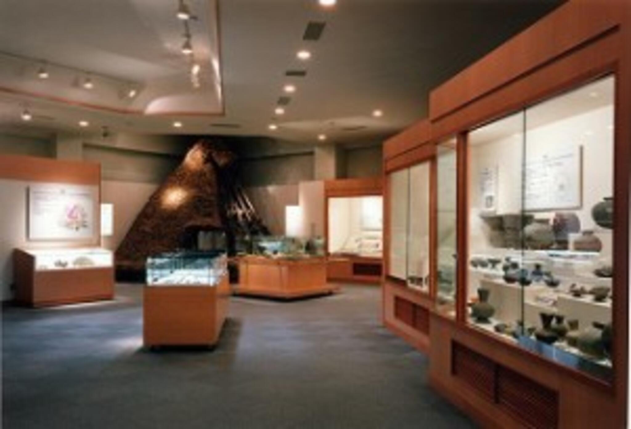川合考古資料館の代表写真2