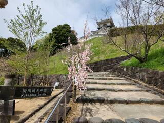 掛川城公園のクチコミ写真2