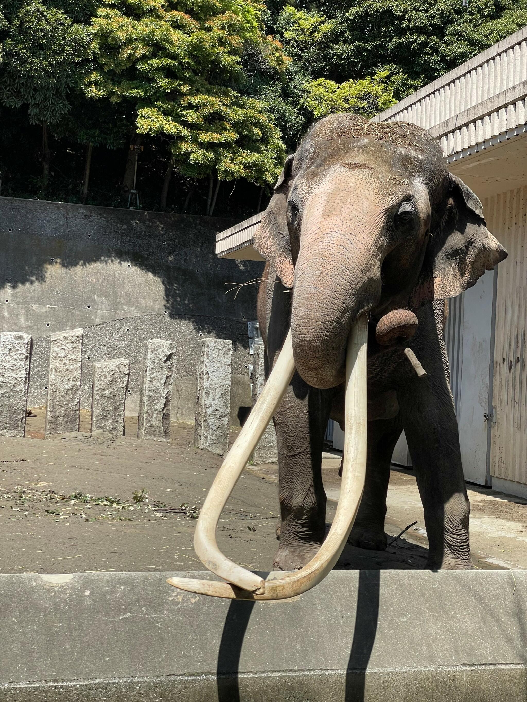 金沢動物園の代表写真8