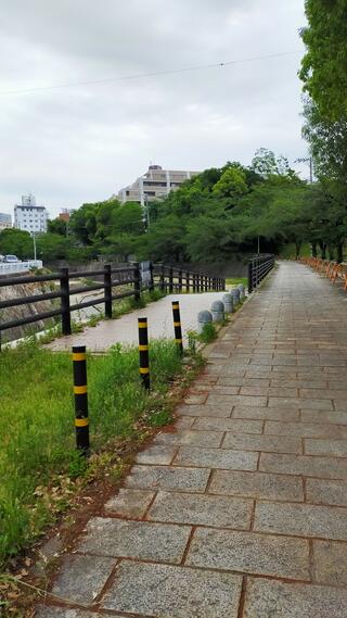 宇治川公園のクチコミ写真2